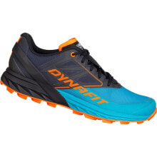 Running Shoes DYNAFIT Alpine Trail Running Shoes