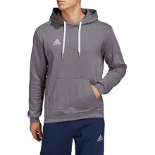 Athletic Hoodies Sweatshirt adidas Entrada 22 Sweat M HB0578