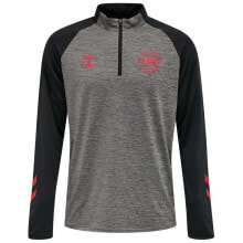 Athletic Hoodies HUMMEL Denmark Pro 2020 Sweatshirt