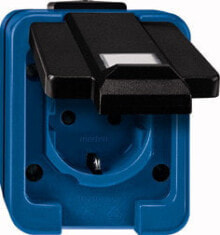 Sockets, switches and frames 279091. Product colour: Black,Blue. Rated voltage: 250 V, Rated current: 16 A