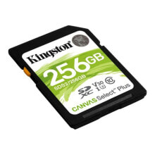 Memory Cards Карта памяти SD Kingston SDS2 256 GB Чёрный