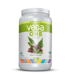 Whey Protein Vega One® Organic All-In-One Shake Chocolate Mint -- 17 Servings