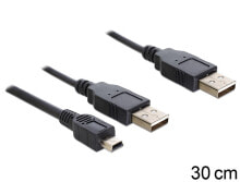 Cables & Interconnects DeLOCK 83178 USB cable 0.3 m USB 2.0 2 x USB A Black