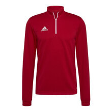 Athletic Hoodies sweatshirt adidas Entrada 22 M H57556
