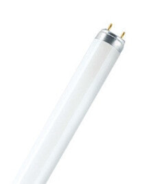 Smart Light Bulbs Osram LUMILUX T8 fluorescent bulb 36 W G13 A Cool white
