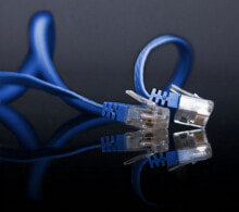 Cables & Interconnects SP715-SLB - 5 m - Cat6 - U/UTP (UTP) - RJ-45 - RJ-45 - Blue