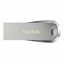 USB Flash drive USВ-флешь память SanDisk SDCZ74-256G-G46      Серебряный 256 GB
