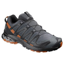 Running Shoes SALOMON XA Pro 3D V8 Goretex Trail Running Shoes
