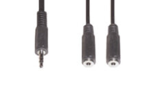 Cables & Interconnects e+p B 109 audio cable 0.2 m 3.5mm 2 x 3.5mm Black