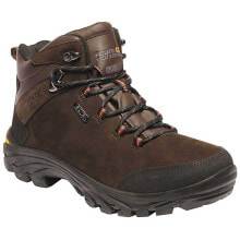 Hiking Shoes REGATTA Burrell Leather Hiking Boots