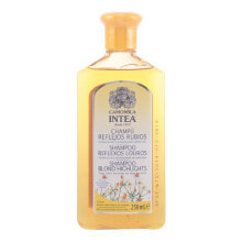 Shampoos Восстанавливающий цвет шампунь Camomila Intea Ромашка (250 ml)