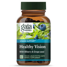 Eyes And Vision Gaia Herbs Healthy Vision -- 60 Liquid Phyto Caps