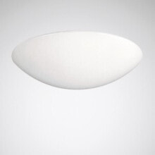 LED Panels Trilux 2869300 light mount/accessory Diffuser