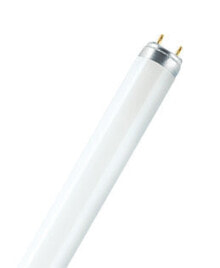 Bulbs Osram NATURA fluorescent bulb 36 W G13 B Neutral white