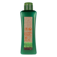 Shampoos Укрепляющий цвет шампунь Biokera Natura Salerm макадамия (300 ml)