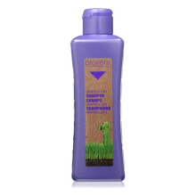 Shampoos Шампунь для глубокой очистки Biokera Grapeology Salerm (300 ml)