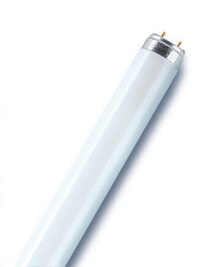 Smart Light Bulbs Osram Lumilux fluorescent bulb 19 W G13 A Cool white