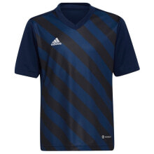 Boys Athletic T-shirts ADIDAS BADMINTON Entrada 22 GFX Short Sleeve T-Shirt