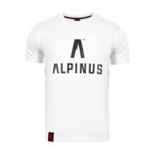 Mens T-Shirts and Tanks Alpinus Classic white T-shirt M ALP20TC0008