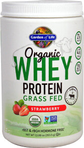 Whey Protein Garden of Life Organic Whey Protein Grass Fed Strawberry -- 12 Servings