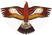Kites Einleinerdrachen Goldadler 92x62cm