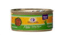 Wet Cat Food Wellness Pate Cat Food Grain Free Turkey -- 5.5 oz