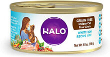 Wet Cat Food Halo Purely For Pets Grain Free Indoor Pate Cat Food Whitefish Recipe -- 5.5 oz Each / Pack of 12