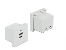 Sockets, switches and frames DeLOCK 81313, USB A + USB C, Thread clamp-type terminal, White, Plastic, Power, 100 - 240 V