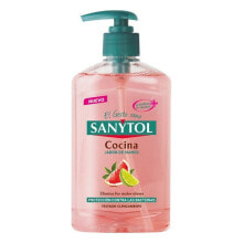 Liquid Soap Жидкое мыло с дозатором Antibacterias Kitchen Sanytol (250 ml)