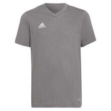 Boys Athletic T-shirts ADIDAS BADMINTON Entrada 22 Short Sleeve T-Shirt